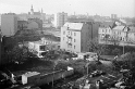 kolofikogvo (6)